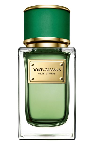 Мужской парфюмерная вода velvet collection cypress  (50ml) DOLCE & GABBANA, арт. 3034565DG