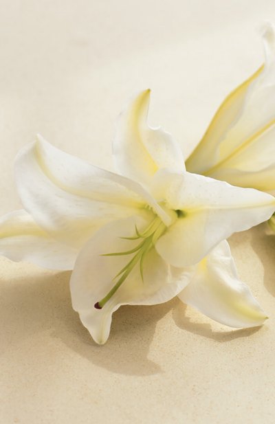 Парфюмерная вода collection white lily (100ml) RALPH LAUREN, арт. 3605970599089, фото 3