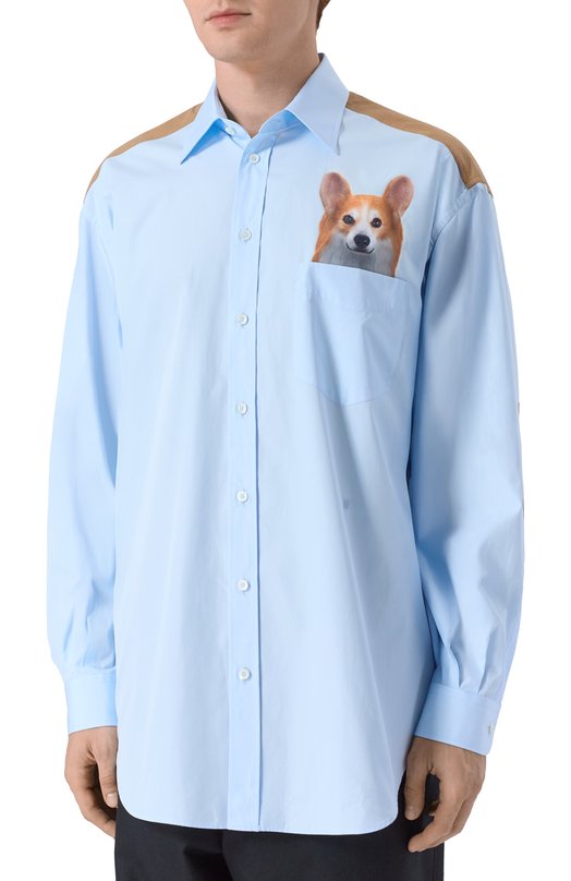 Хлопковая рубашка Moschino A0243/5235 Голубой  A0243/5235 Фото 3