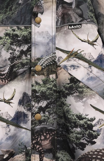 Комбинезон polaris MOLO, арт. 5W25N203, фото 3