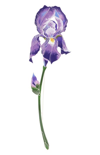 Брошь ирис РУССКИЕ САМОЦВЕТЫ, арт. 41486, фото 1