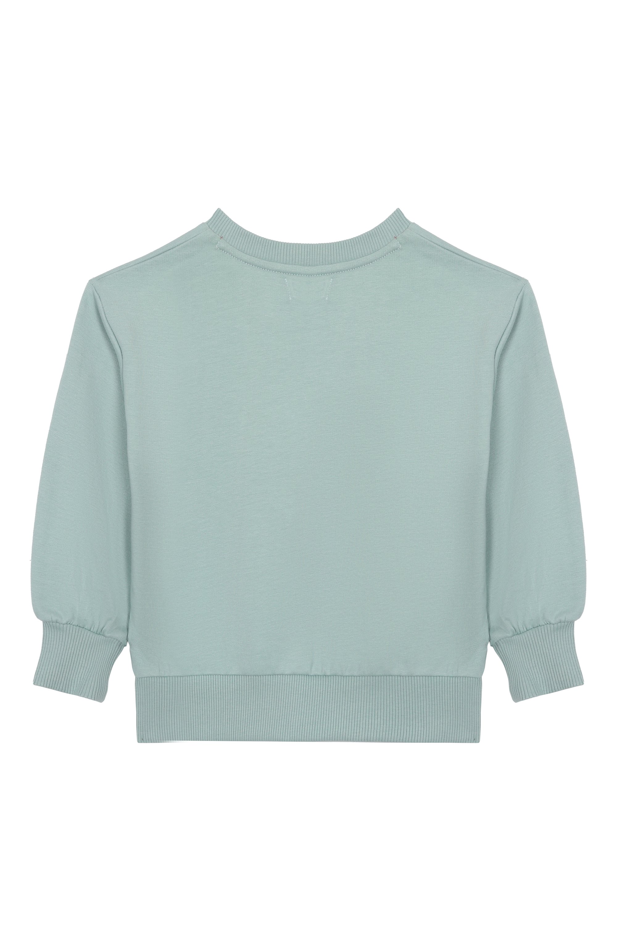 Комплект из свитшота и д�жоггеров BABYBU, арт. BI-D1016S235, фото 3