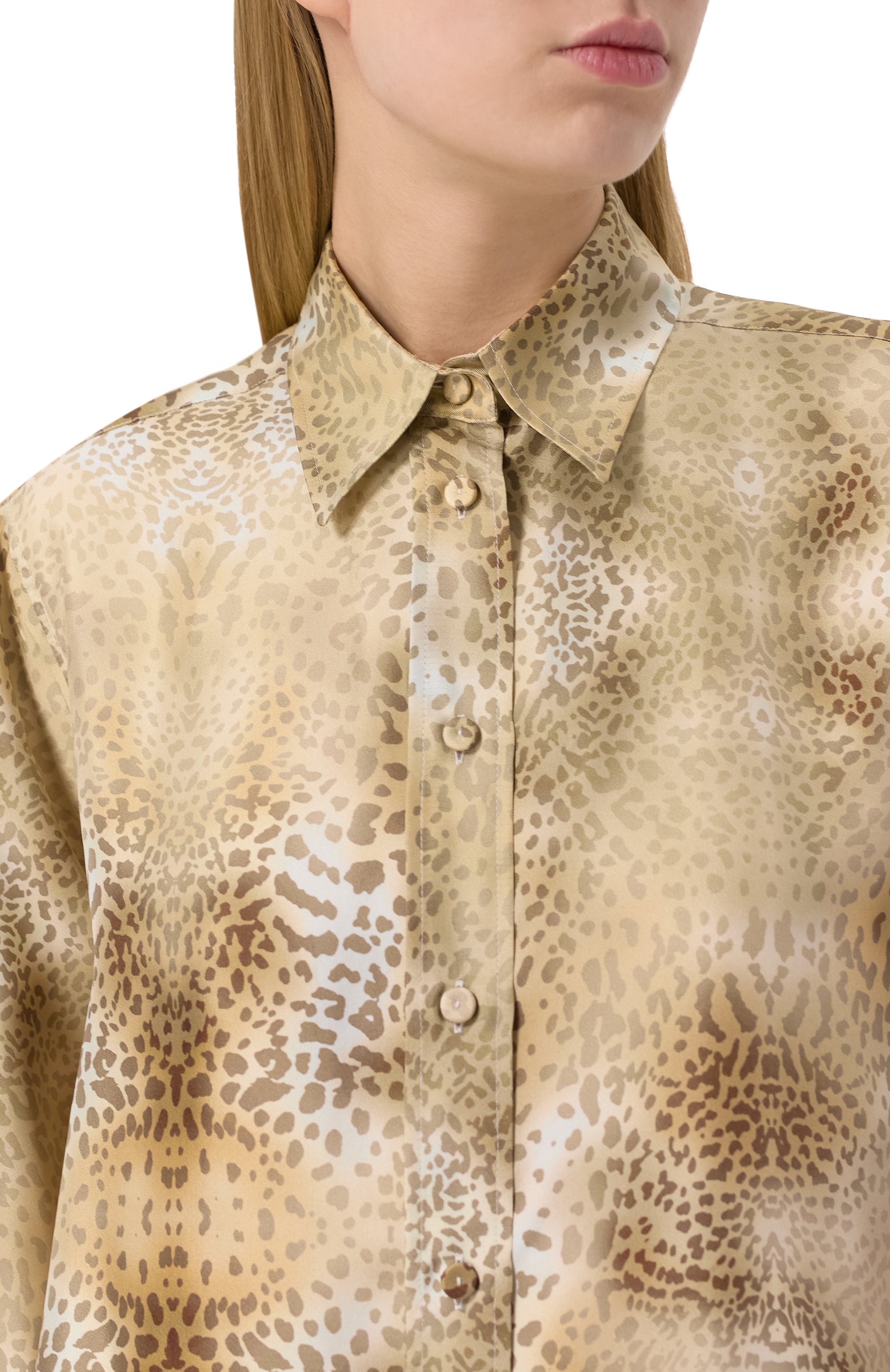 Шелковая рубашка ACADEMIA, арт. CELIA-ST-BC/74DM2, фото 5