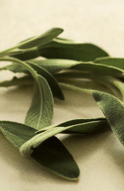 Парфюмерная вода collection sage (100ml) RALPH LAUREN, арт. 3605970596088, фото 3