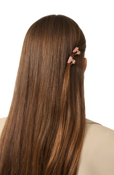 Комплект из двух заколок для волос ALEXANDRE DE PARIS, арт. ICCXS-14338-02P23 OP, фото 2