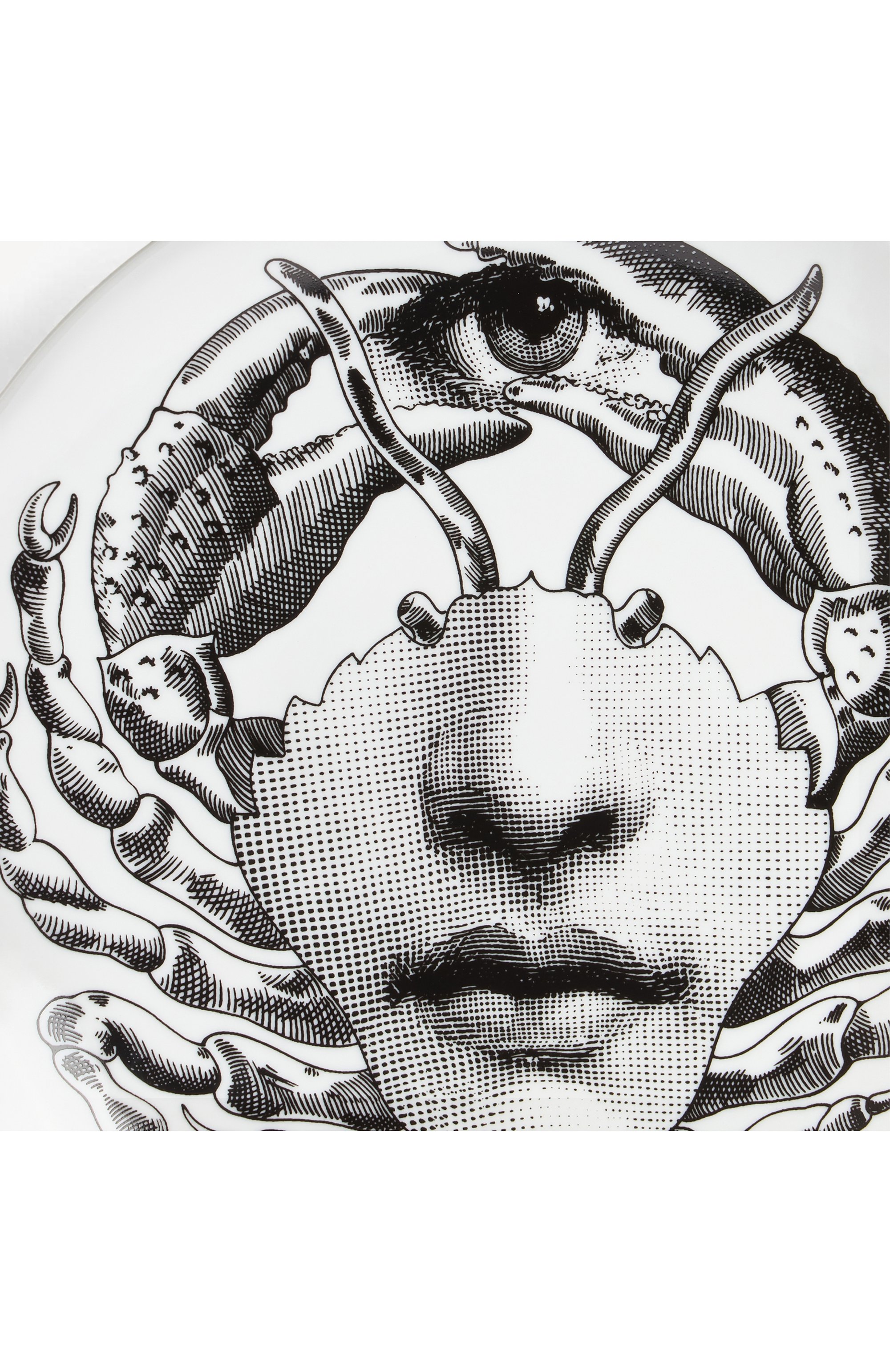 Декоративная тарелка tema e variazioni n.351 FORNASETTI, арт. PTV351X, фото 4