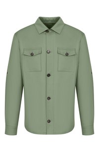 Светло-зеленый