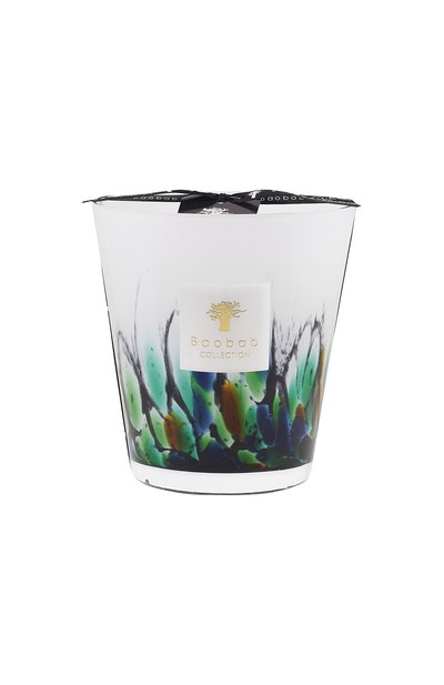 Свеча rainforest max 16 amazonia (1100g) BAOBAB бесцветного цвета по цене 23790 руб., арт. 5415198486942, фото 1 Свеча rainforest max 16 amazonia (1100g) BAOBAB, арт. 5415198486942, фото 1