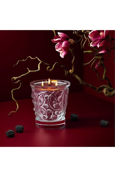 Свеча в стакане epines LALIQUE, арт. B14500*, фото 3