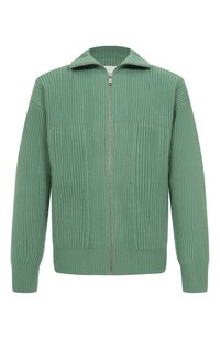 Светло-зеленый