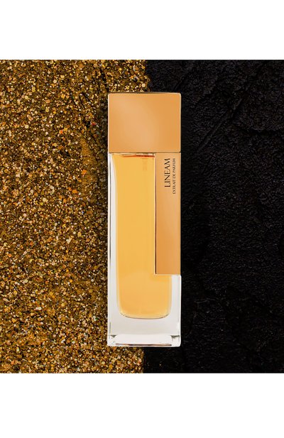 Экстракт духов lineam (100ml) LM PARFUMS, арт. 3760213762634, фото 2