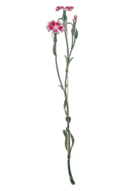 Брошь гвоздика- полевая РУССКИЕ САМОЦВЕТЫ, арт. 41504, фото 1