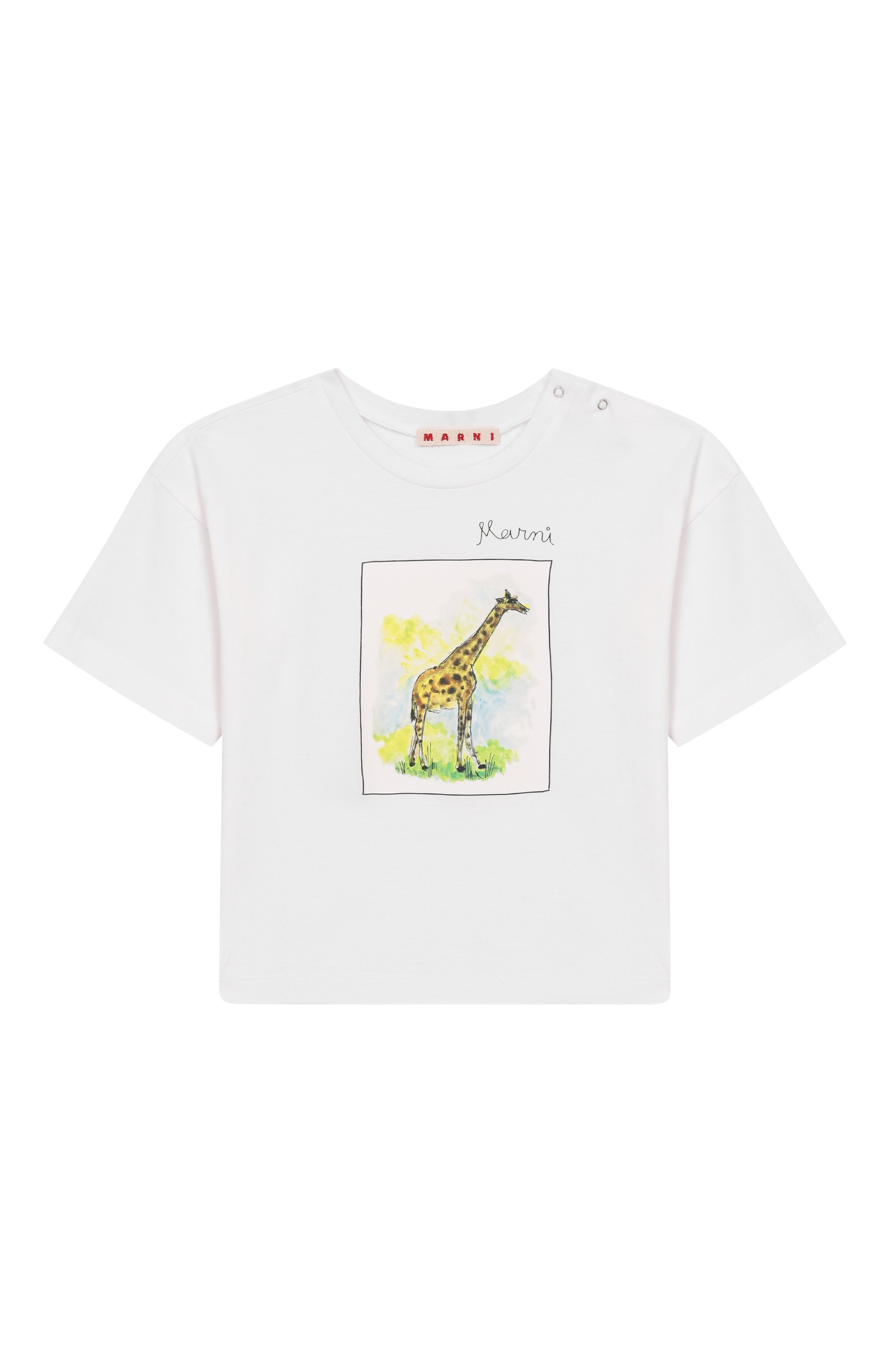 Хлопковая футболка MARNI, арт. M01659/M00SG, фото 1