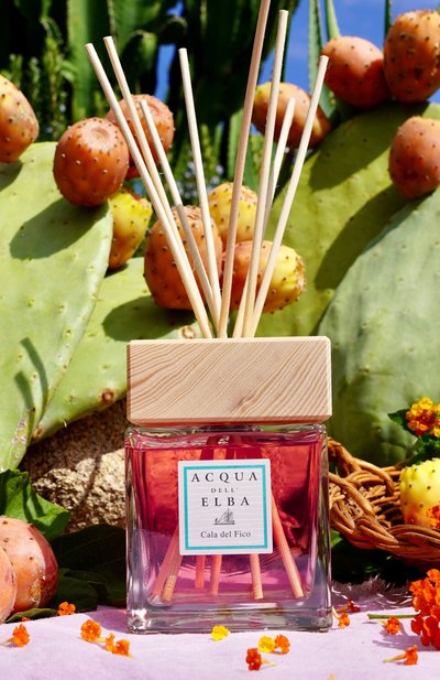 Диффузор cala del fico (200ml) ACQUA DELL ELBA бесцветного цвета по цене 10560 руб., арт. 8032758538360, фото 4 Диффузор cala del fico (200ml) ACQUA DELL ELBA, арт. 8032758538360, фото 4