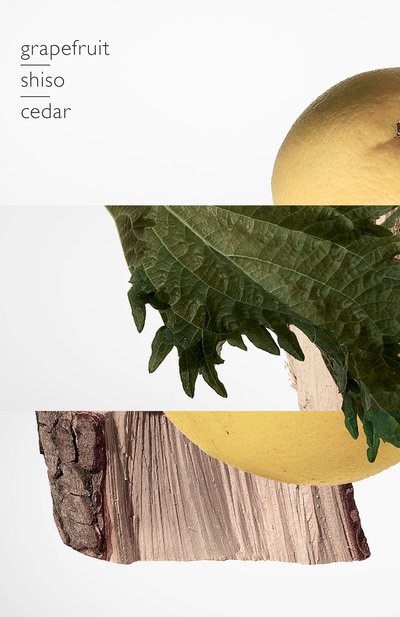 Духи terre d'hermès (75ml) HERMÈS, арт. 24578H, фото 5