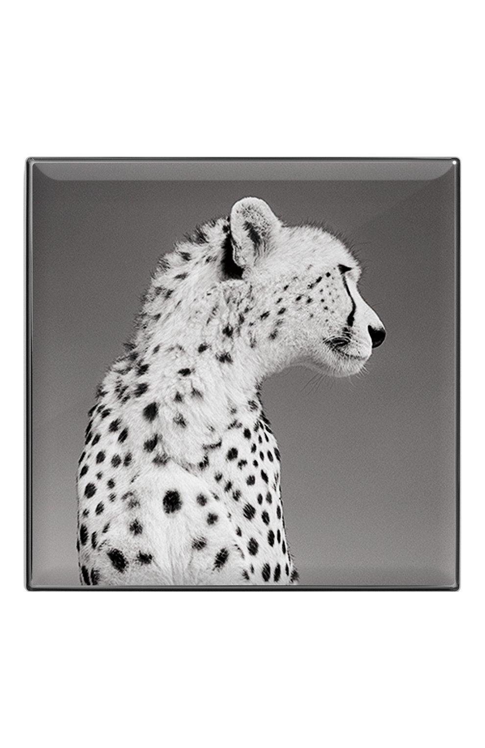 Тени для век luminescent eye shade, оттенок cheetah CHANTECAILLE, арт. 656509172023, фото 2