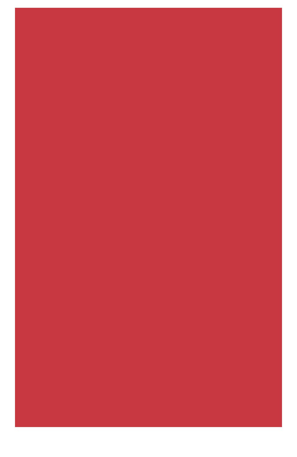 Помада-блеск joli rouge brillant 20 CLARINS, арт. 04414410, фото 2
