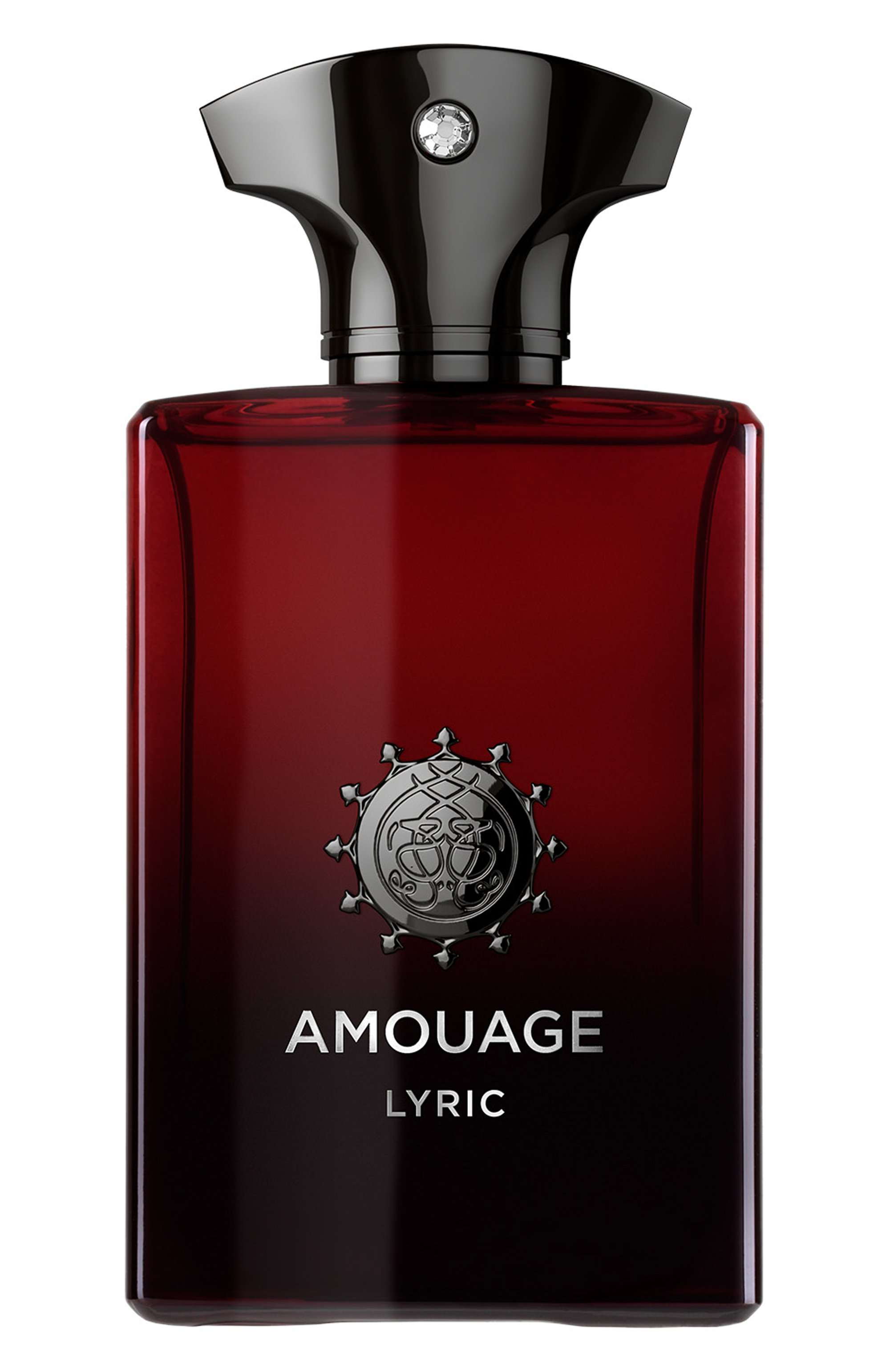 Парфюмерная вода lyric man (100ml) AMOUAGE, арт. 41009, фото 1