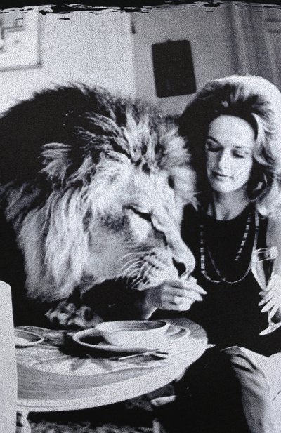 Хлопковая футболка BISIBIGLIO, арт. DINNER LI0N/RIF (C0TT0NE PESANTE), фото 5