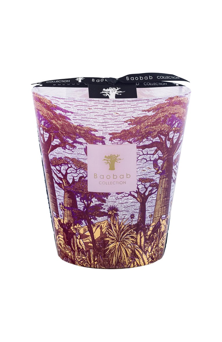 Свеча sacred trees max 16 massasso (1100g) BAOBAB бесцветного цвета, арт. 5415198517851 | Фото 1 (Нос: Не проставлено; Региональные ограничения белый список (Axapta Mercury): Не проставлено; Ограничения доставки: flammable, fragile-2)