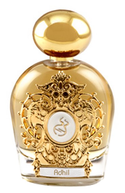Мужской духи adhil assoluto (100ml) TIZIANA TERENZI, арт. 8016741042492