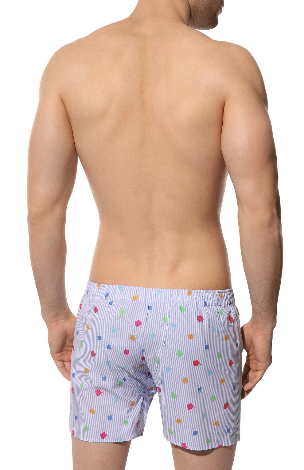 Хлопковые боксеры ROBERTO RICETTI, арт. B0XER DB1/B3203, фото 3