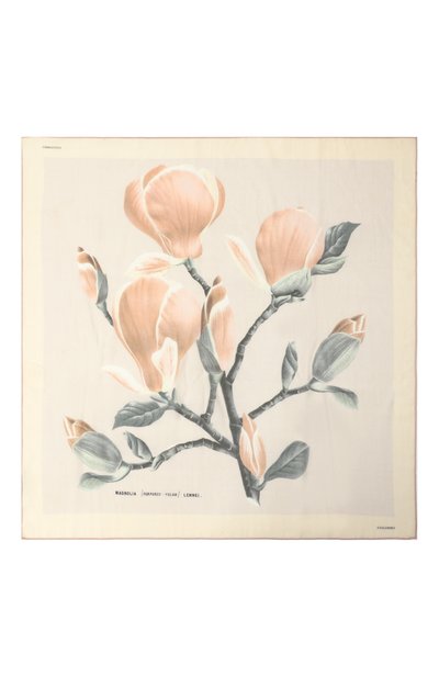 Платок из кашемира и шелка COLOMBO бежевого цвета по цене 131500 руб., арт. S7/90X90/2461-U-MN, фото 4 Платок из кашемира и шелка COLOMBO, арт. S7/90X90/2461-U-MN, фото 4