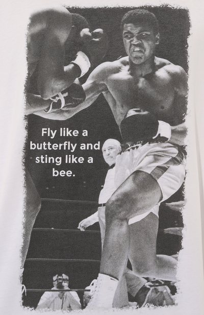 Хлопковая фут�болка BISIBIGLIO, арт. ALI BUTTERFLY BEE, фото 5