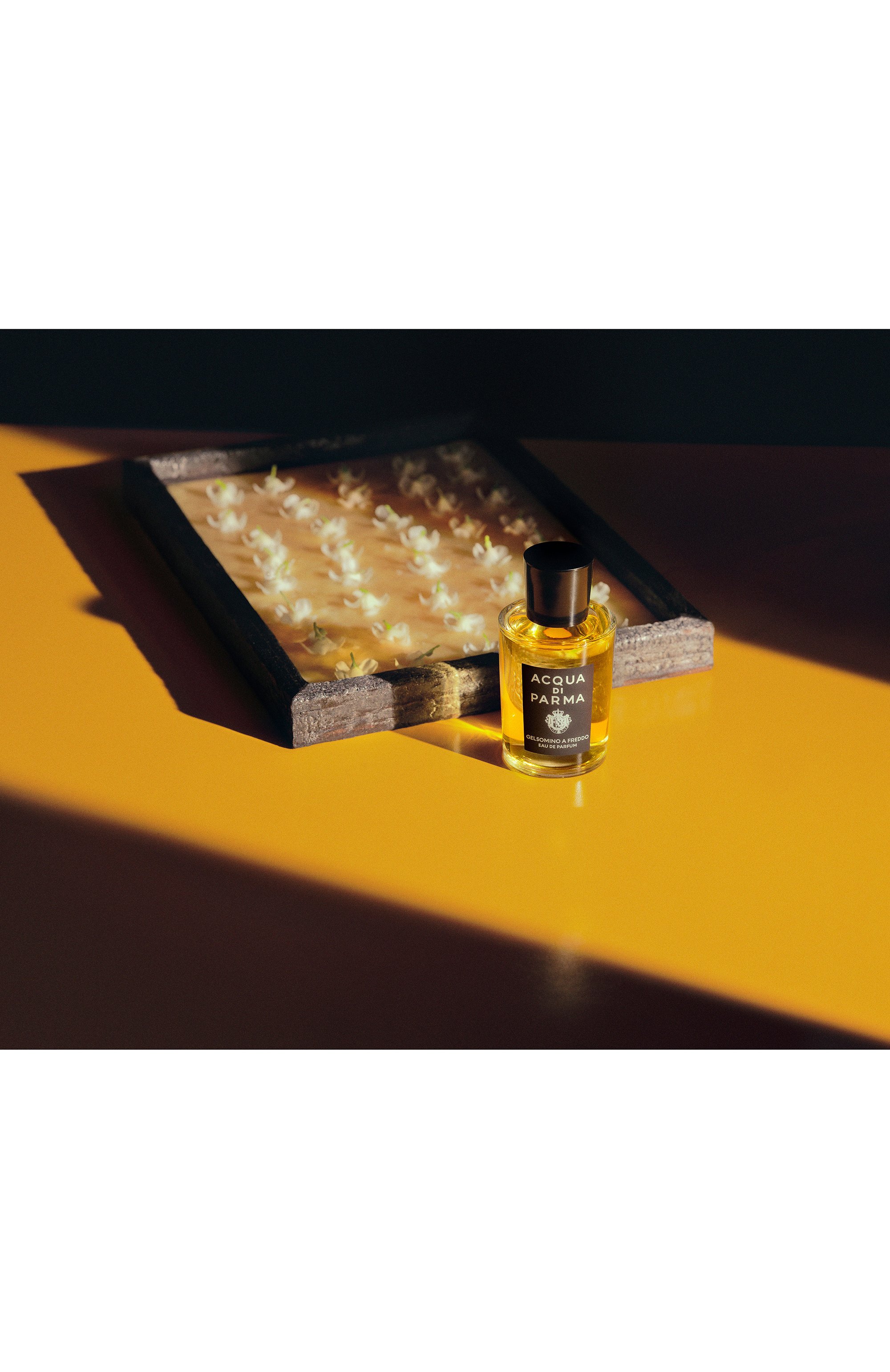 Парфюмерная вода gelsomino a freddo (50ml) ACQUA DI PARMA, арт. ADP082743, фото 4