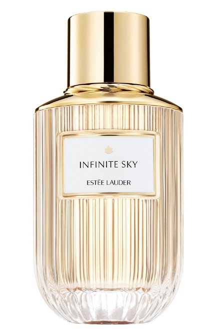 Мужской парфюмерная вода infinite sky (40ml) ESTÉE LAUDER, арт. GT99-01
