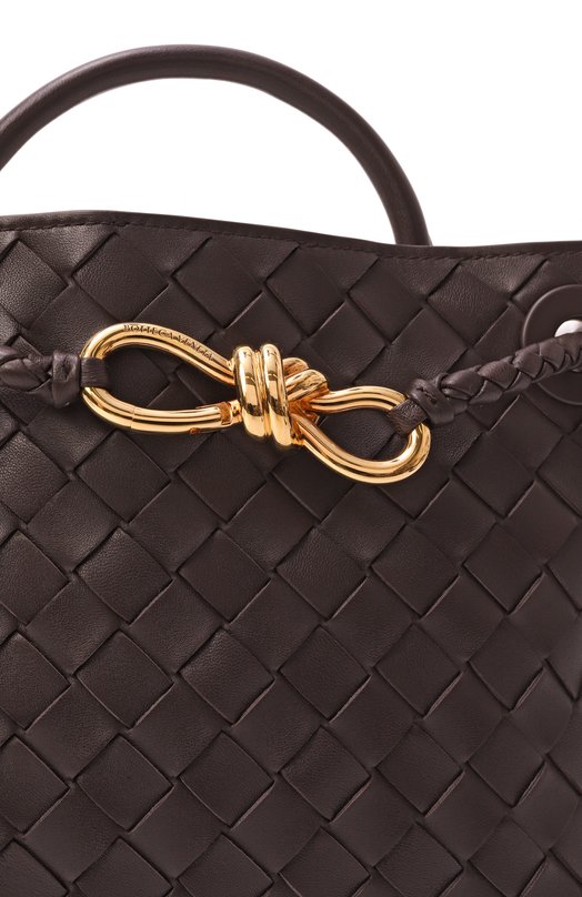 Сумка Andiamo small Bottega Veneta 766014/VCPP1 Коричневый  766014/VCPP1 Фото 3