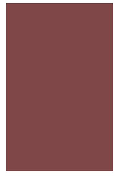 Блеск для губ gloss prodige 01 CLARINS, арт. 04426110, фото 2