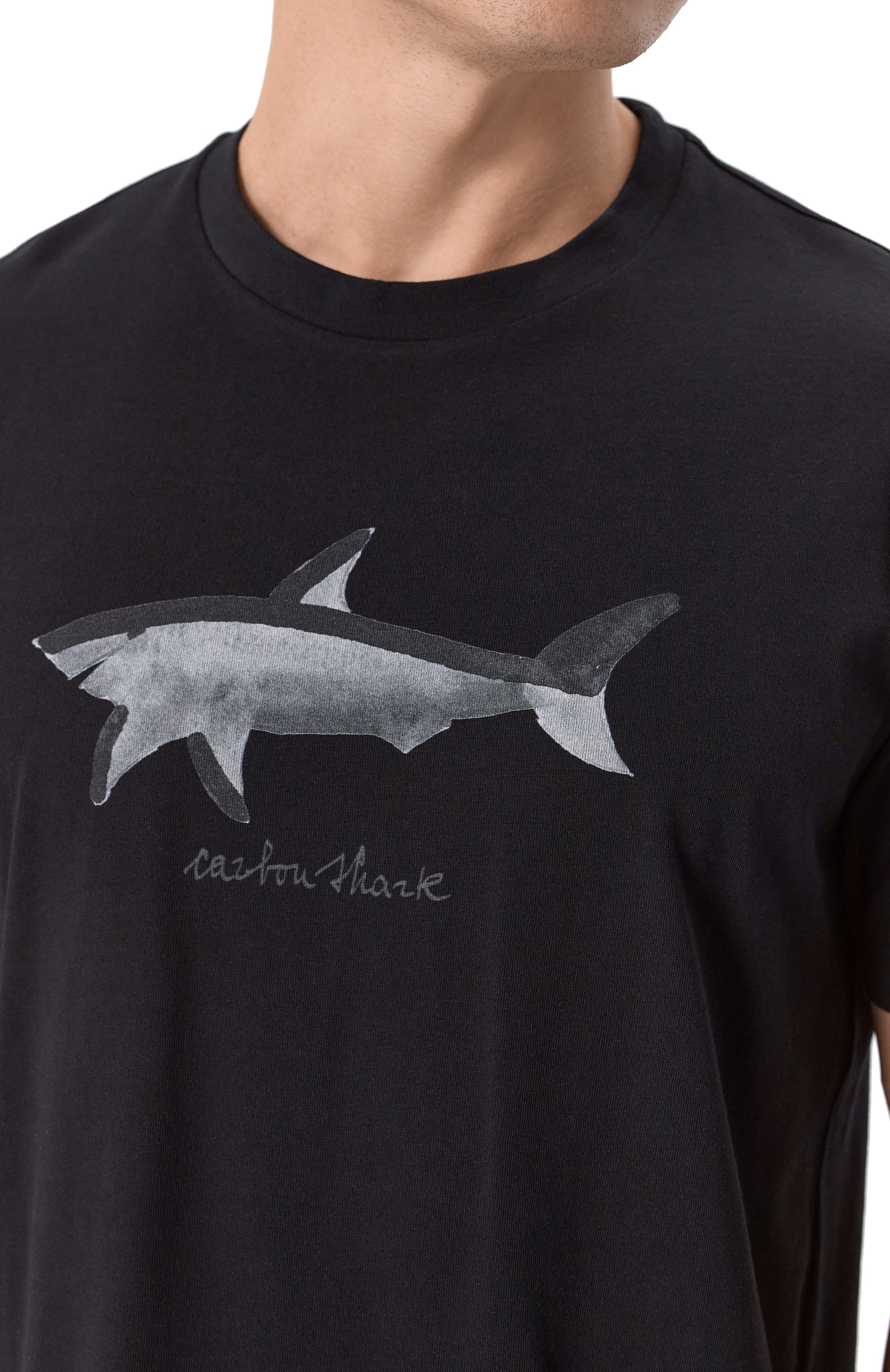 Хлопковая футболка PAUL&SHARK, арт. 25411071/L, фото 5