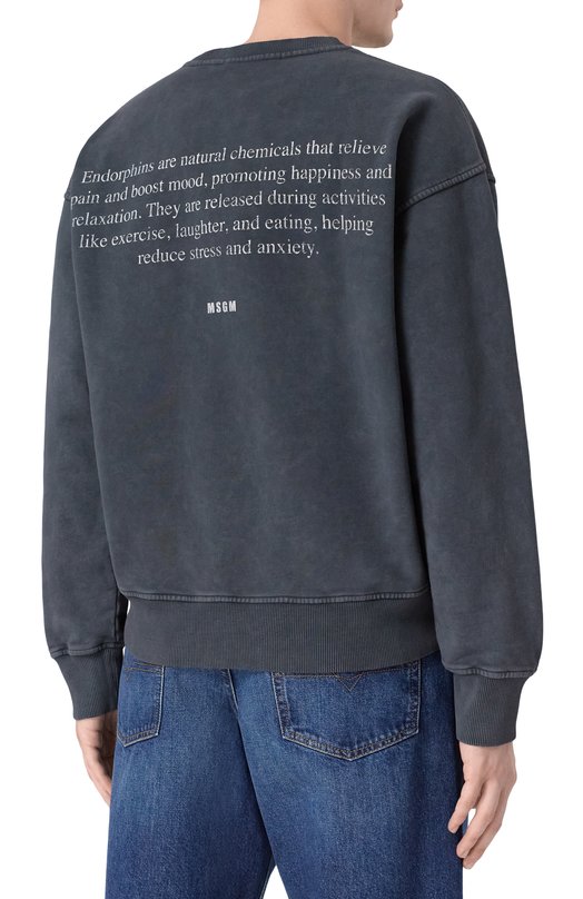 Хлопковый свитшот MSGM 4040MM76SE/267092 Серый  4040MM76SE/267092 Фото 4
