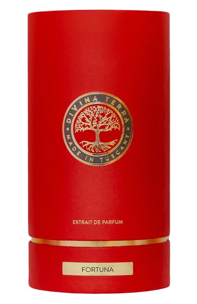 Духи fortuna (100ml) DIVINA TERRA, арт. 8016741342585, фото 2