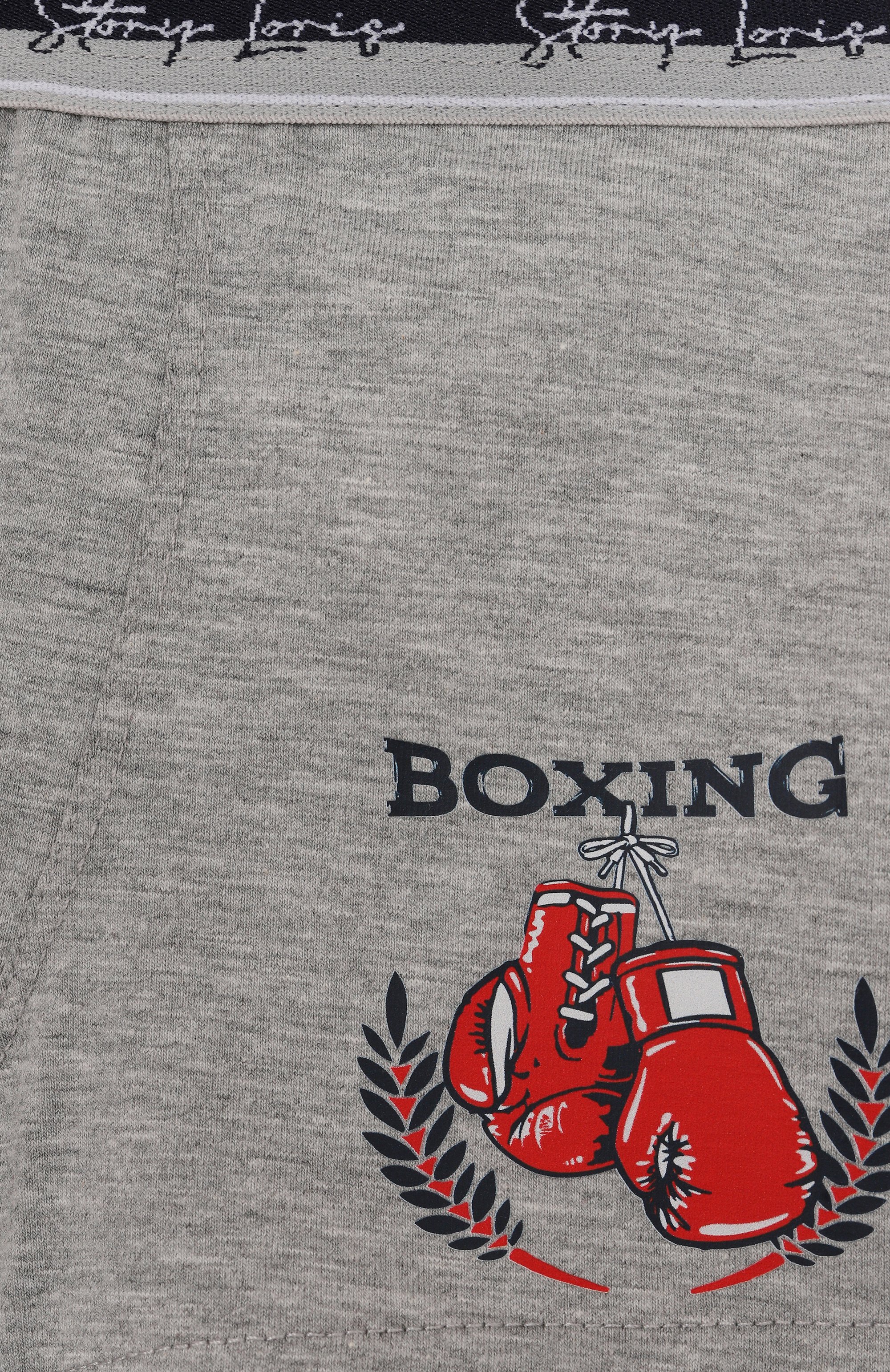 Хлопковые боксеры STORY LORIS, арт. 35498/2-6, фото 3