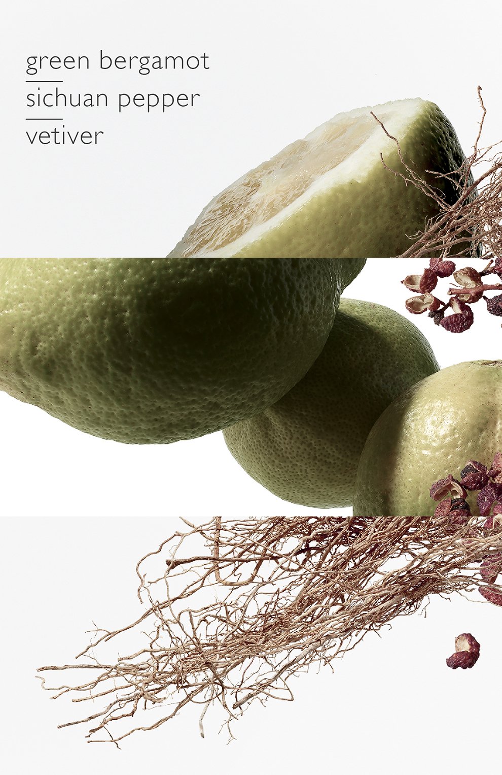 Парфюмерная вода terre d'hermès eau intense vétiver (100ml) HERMÈS, арт. 40946H, фото 4