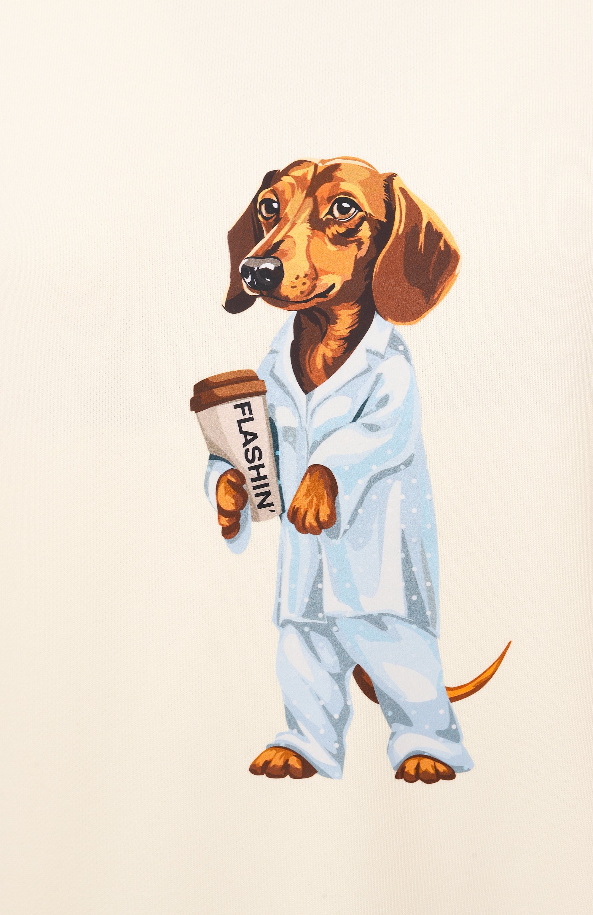 Хлопковое худи FLASHIN, арт. FS25HDOT, фото 6