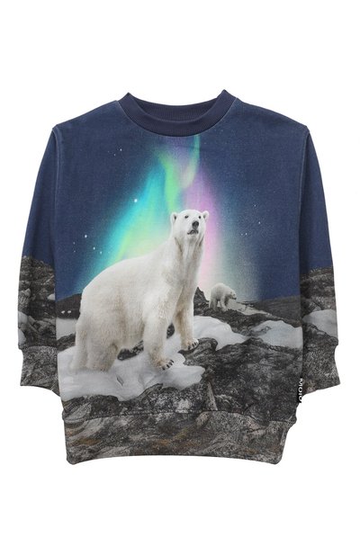 Хлопковый свитшот MOLO, арт. 1W24J201