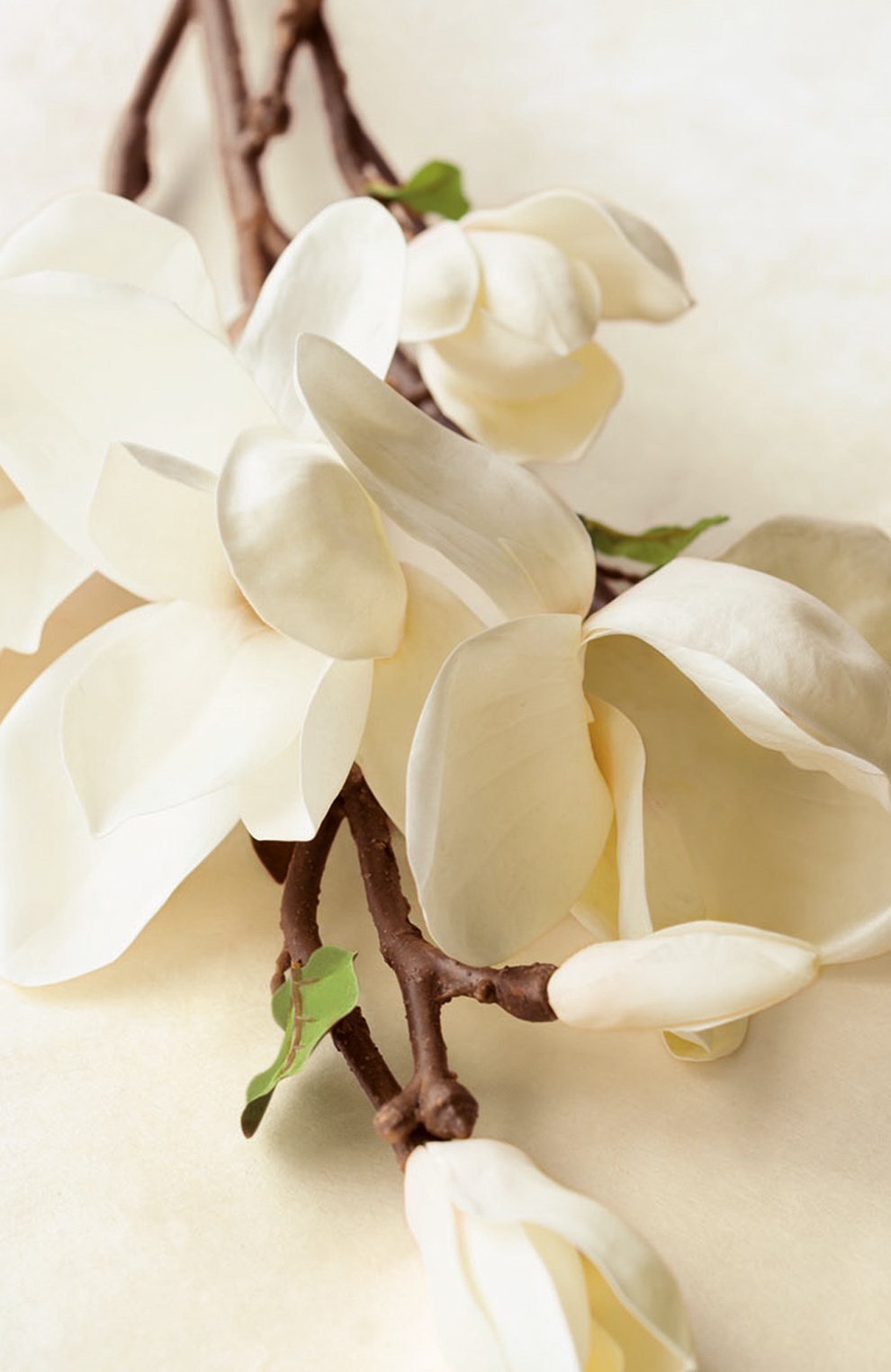 Парфюмерная вода collection magnolia (100ml) RALPH LAUREN, арт. 3605970597160, фото 3