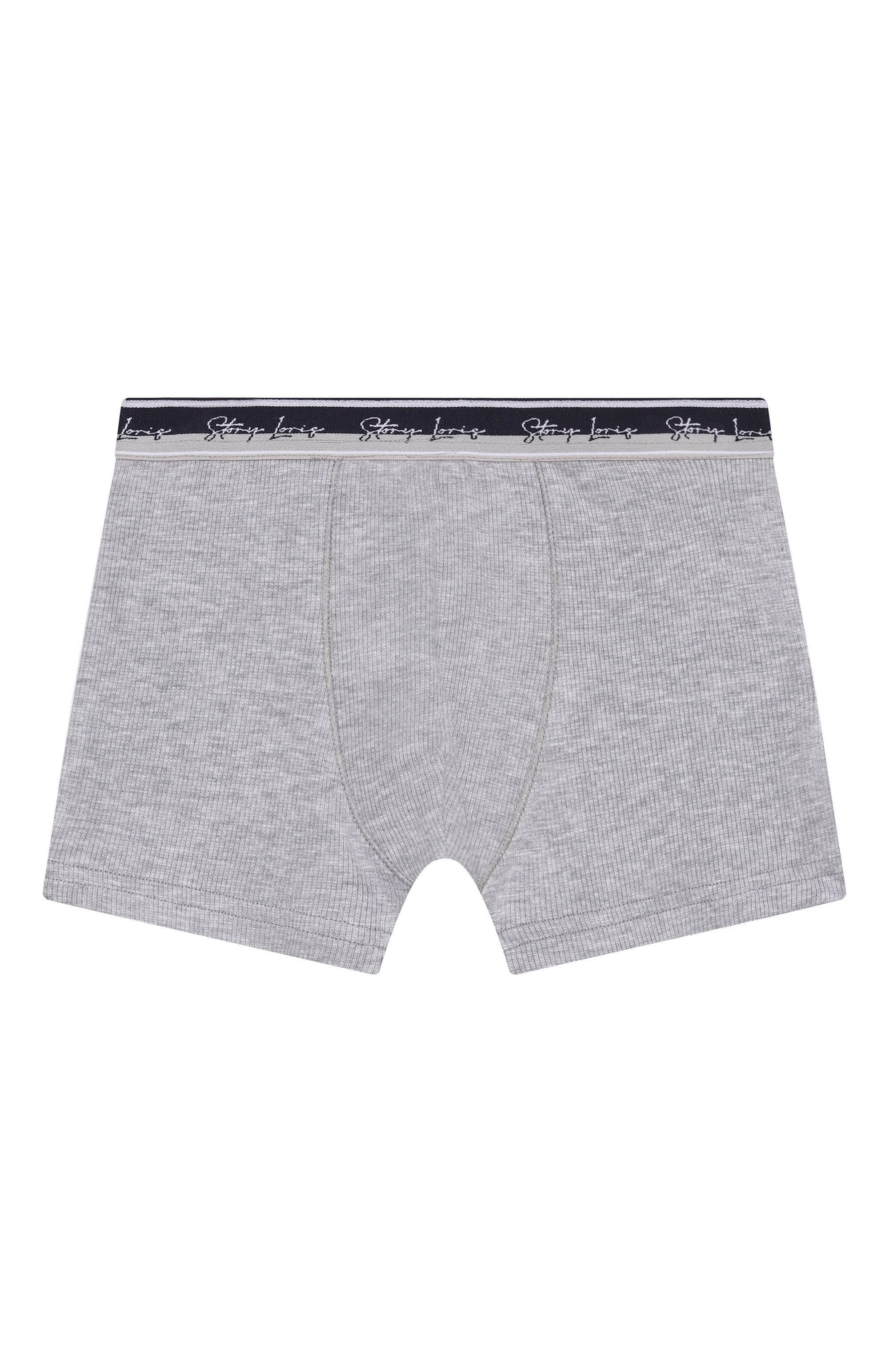 Боксеры STORY LORIS, арт. 36128/2-6, фото 1