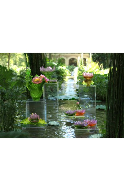 Ваза medium jardin de lotus DAUM, арт. 05866, фото 3