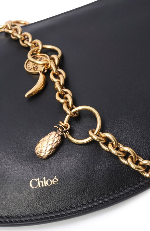 Сумка Chloé Icons Chloé CH25AS519P80 Чёрный  CH25AS519P80 Фото 6