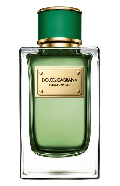 Парфюмерная вода velvet collection cypress (150ml) DOLCE & GABBANA, арт. 3034555DG, фото 1