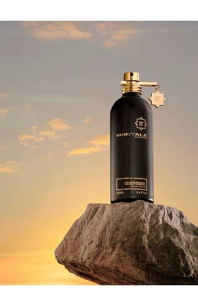 Парфюмерная вода oudyssee (100ml) MONTALE, арт. 3760260458634, фото 3
