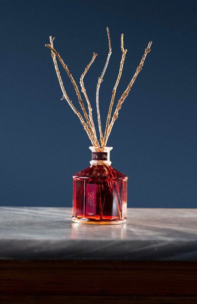 Диффузор legno di vigna (250ml) ERBARIO TOSCANO, арт. DA25LV, фото 4