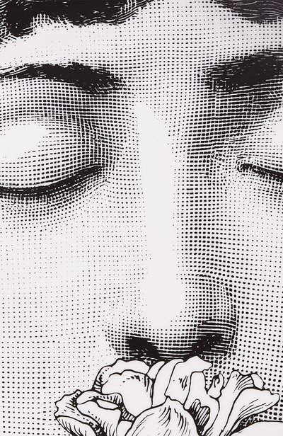 Декоративная тарелка tema e variazioni n.393 FORNASETTI, арт. PTV393X, фото 3