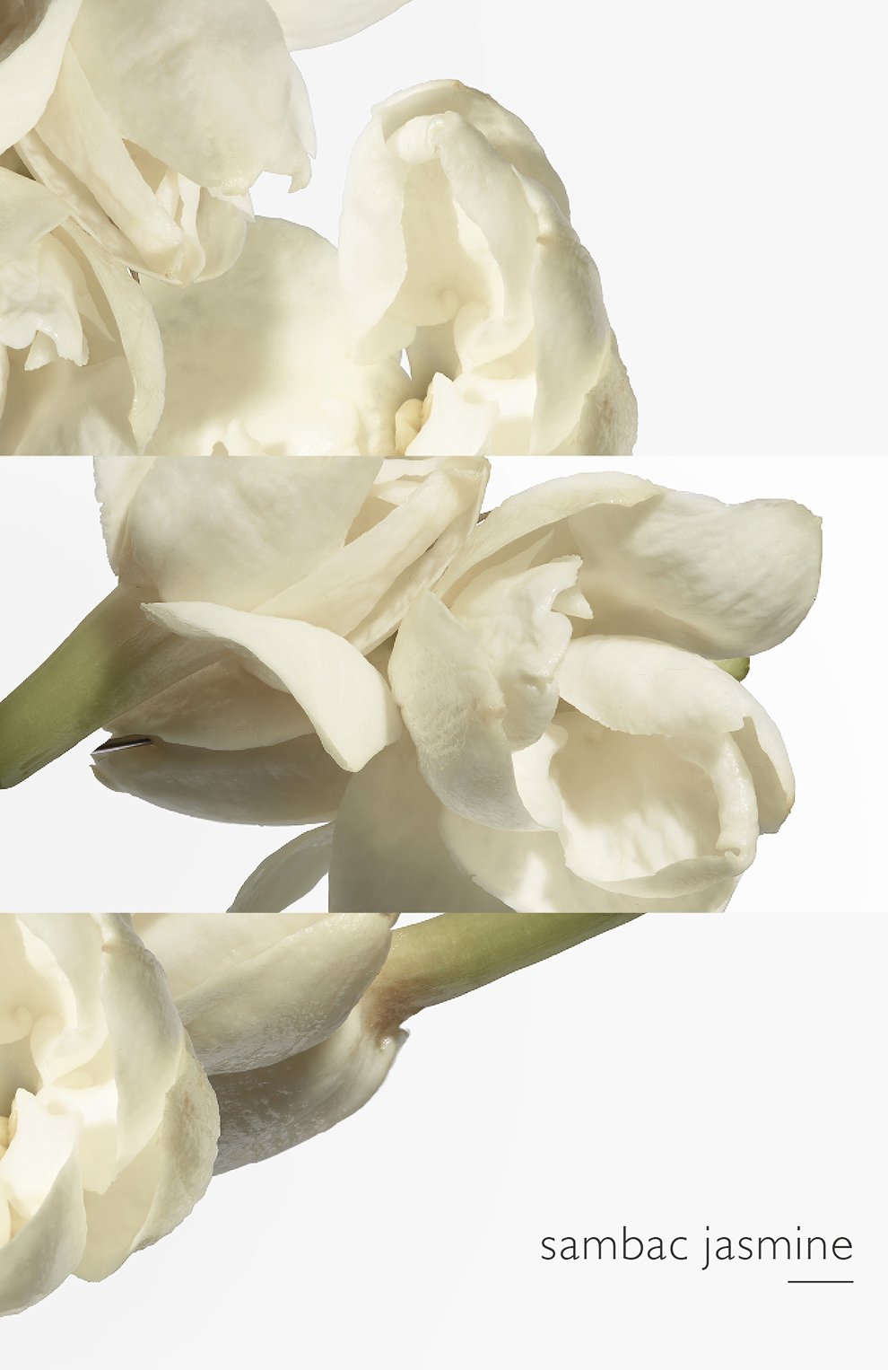 Туалетная вода спрей le jardin de monsieur li (100ml) HERMÈS, арт. 32118H, фото 8