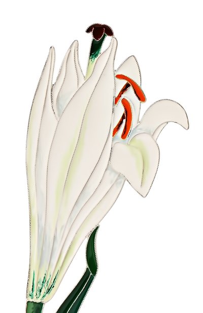 Брошь РУССКИЕ САМОЦВЕТЫ, арт. 41720, фото 3