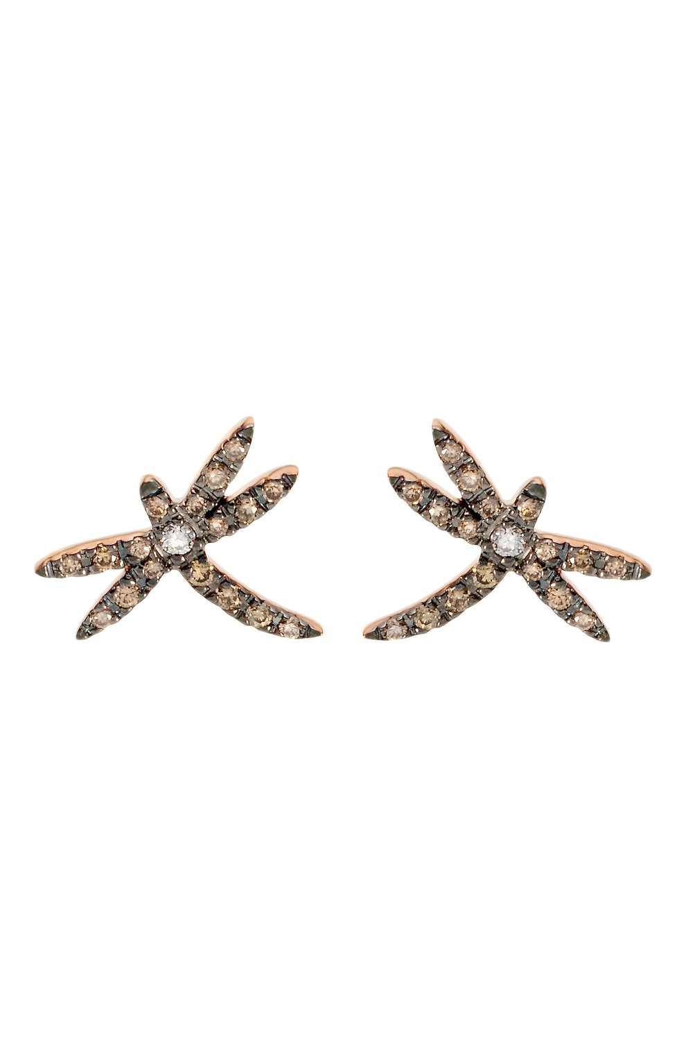 Серьги CASATO, арт. ORX1005BR/BT-P-RN, фото 1